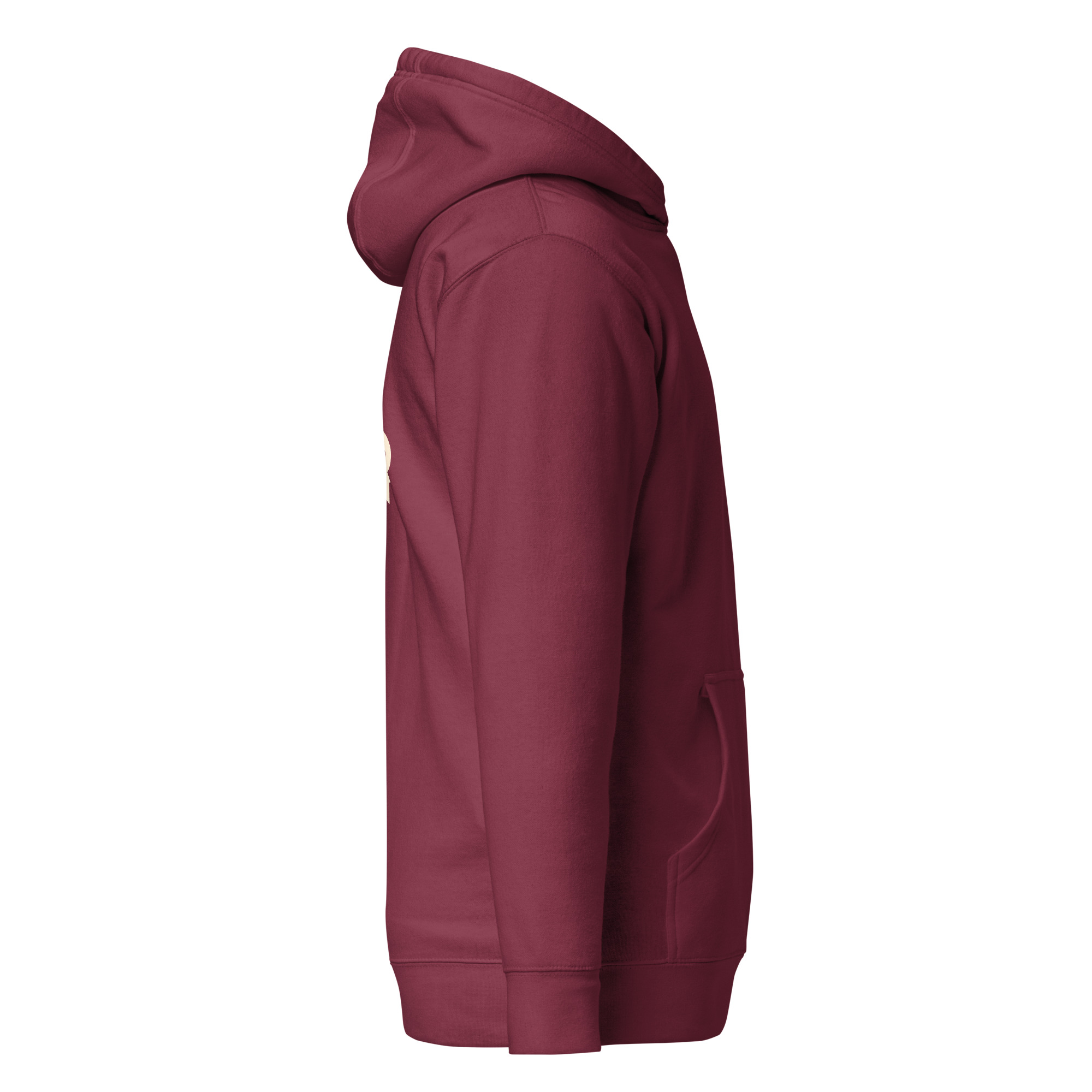 Unisex Premium Pullover Hoodie | Cotton Heritage - Image 17