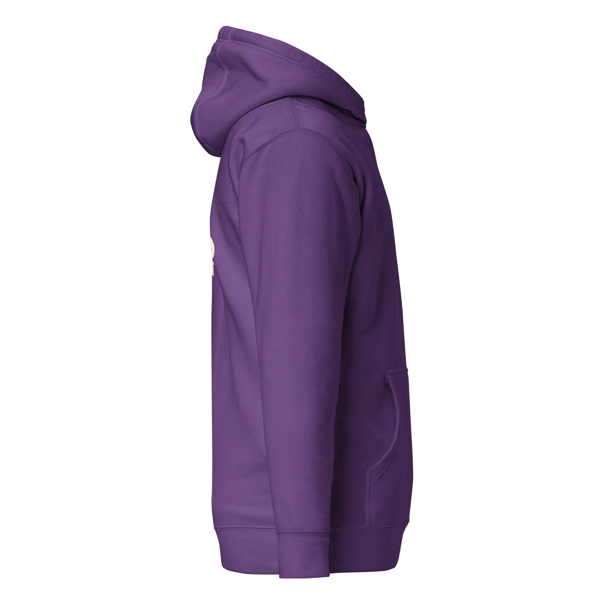 Unisex Premium Pullover Hoodie | Cotton Heritage - Image 18